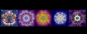 487529_10200779259624762_755154708_n