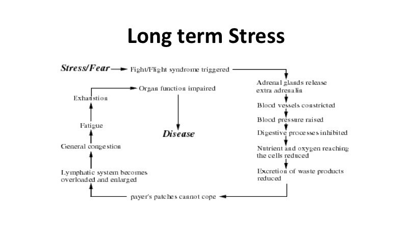 Long term Stress
